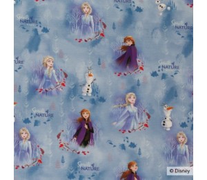 Jersey - Frozen Die Eiskönigin weiß